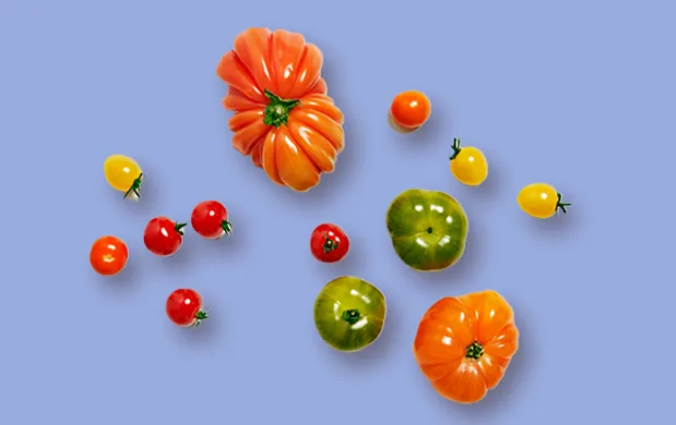 Le suivi nutritionnel